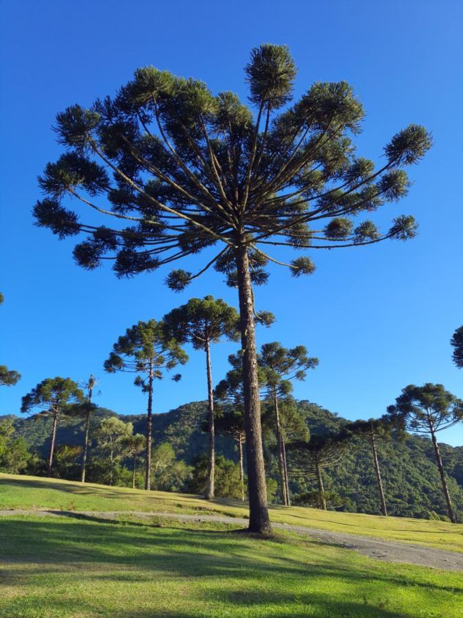 Casa De Campo Quinta Do Vale - Familia Урубиси Екстериор снимка