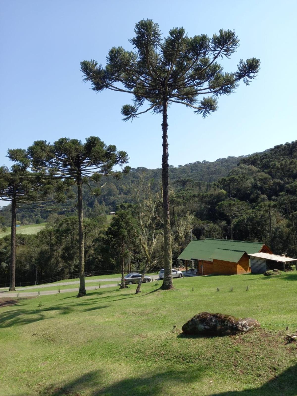 Casa De Campo Quinta Do Vale - Familia Урубиси Екстериор снимка